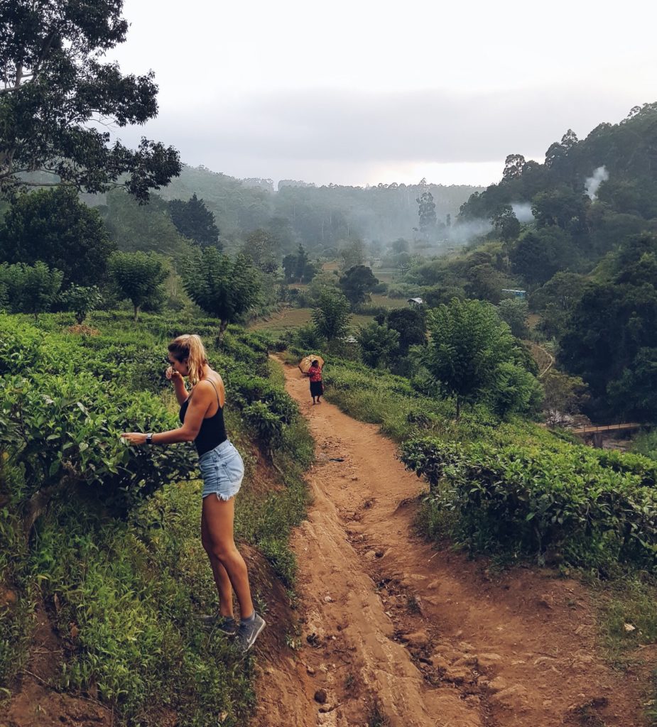 TEAmwork Tea - Claartje Schroder