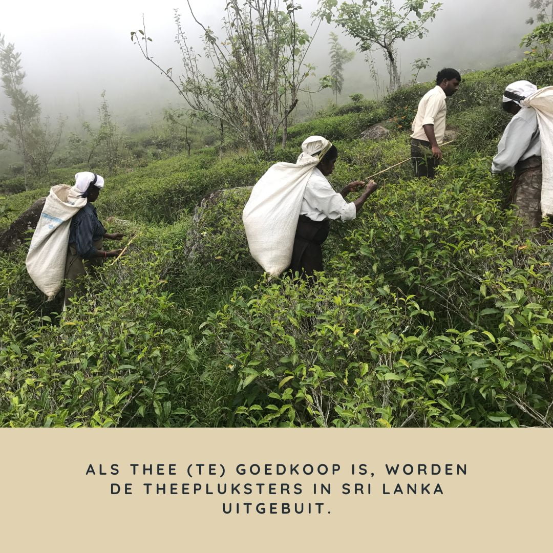 teamwork tea fair