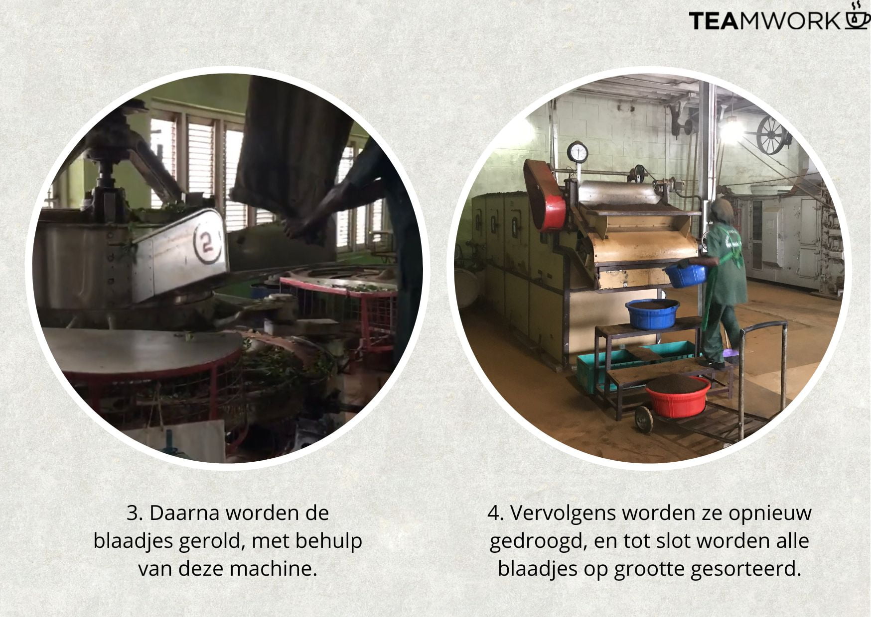 thee abonnement: zo wordt teamwork tea gemaakt