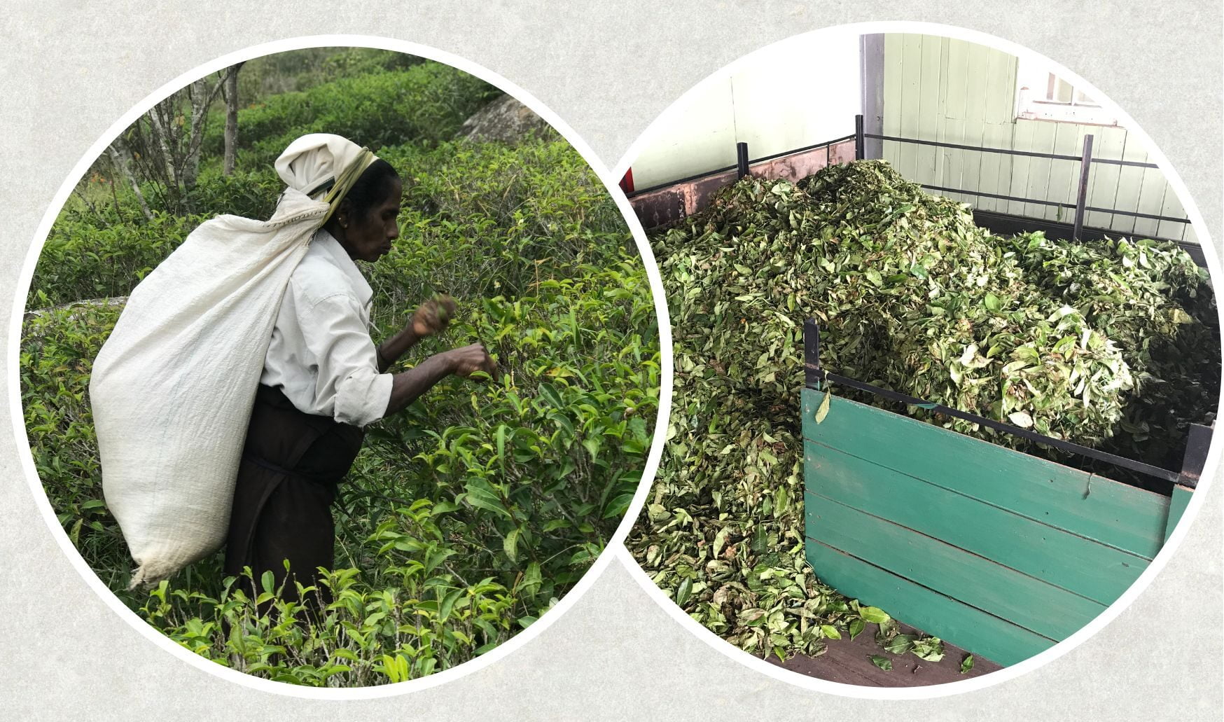 Bestel ons proefpakket afbeelding 1