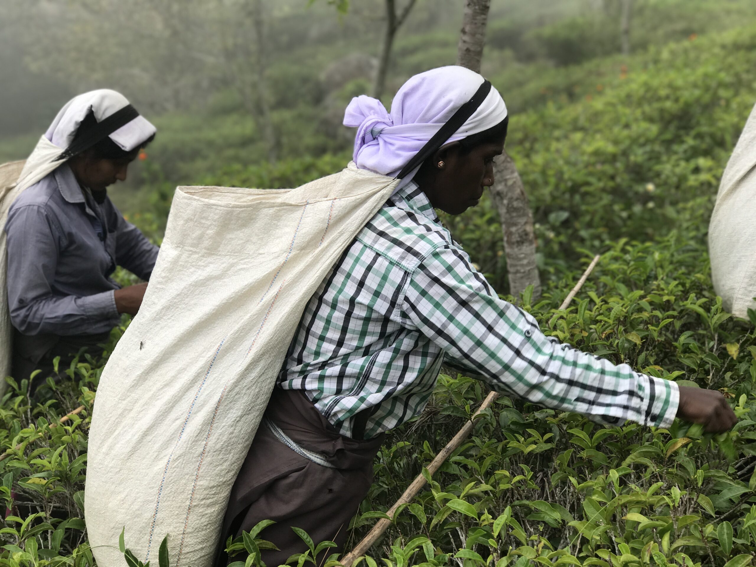 Hoe werkt het afbeelding 1